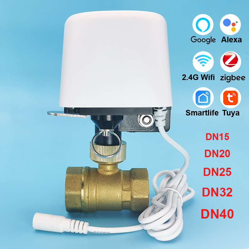 Tuya Zigbee Garden Irrigation Controller - Valvola dell'acqua da 1/2