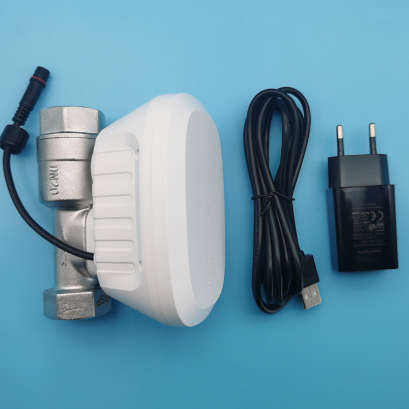 Tuya Zigbee Garden Irrigation Controller - Valvola dell'Acqua Intelligente Zigbee Tuya WiFi