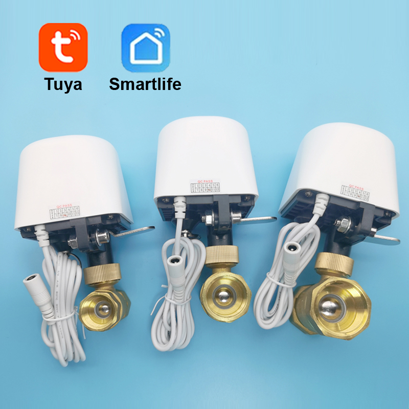 Tuya Zigbee Garden Irrigation Controller - Tuya Wifi Zigbee Valvola dell'acqua Giardino