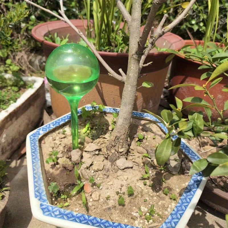 Set di 6 Palline Autoirriganti - Drip Irrigation System Automatic Kit recensione e prezzo