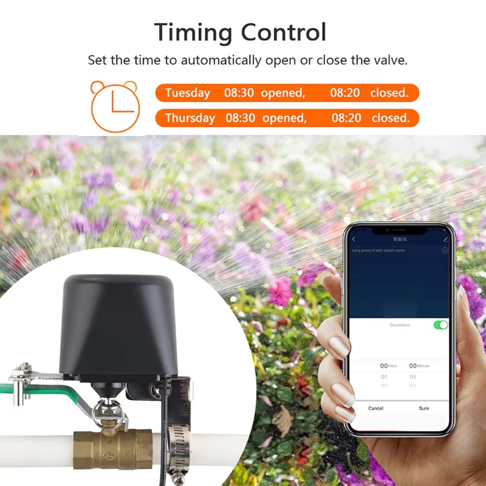 Tuya Zigbee o Wifi Valvola del - Tuya Zigbee Garden Irrigation Controller recensione e prezzo
