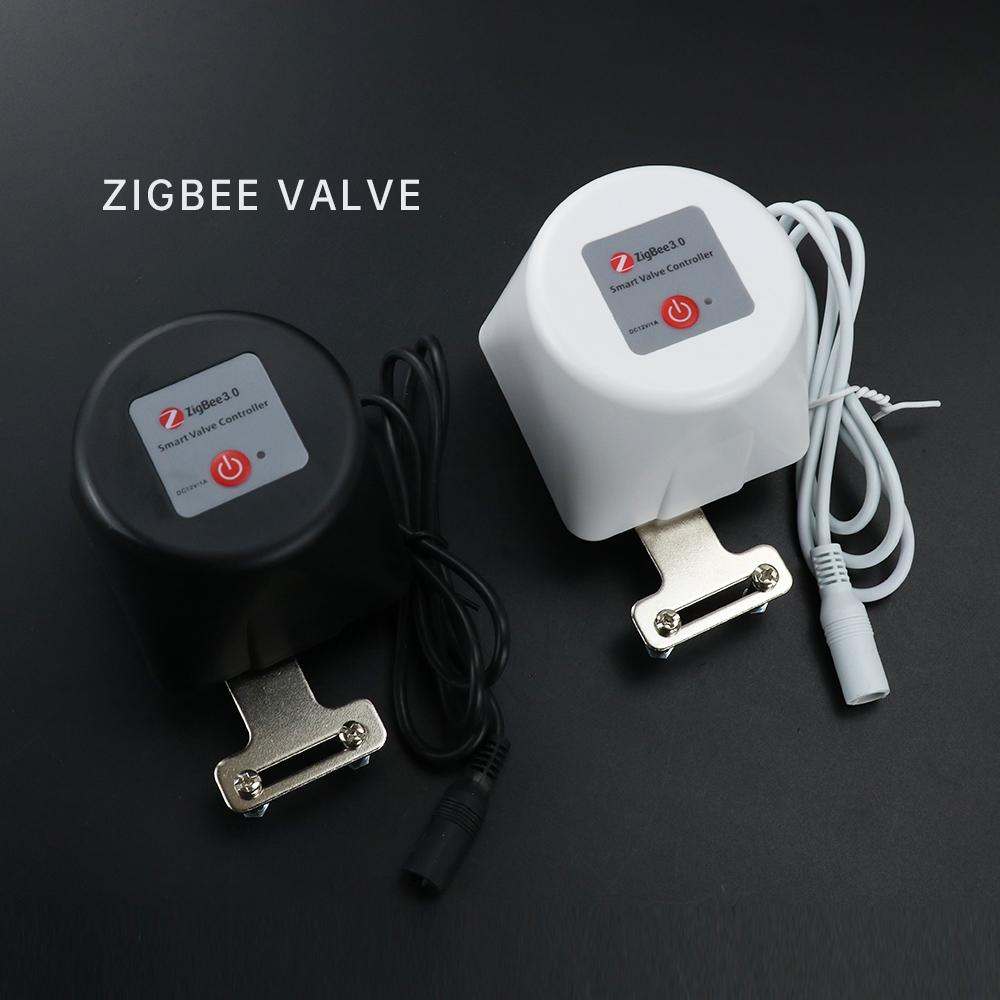 Valvola Intelligente Zigbee pe - Tuya Zigbee Garden Irrigation Controller recensione e prezzo