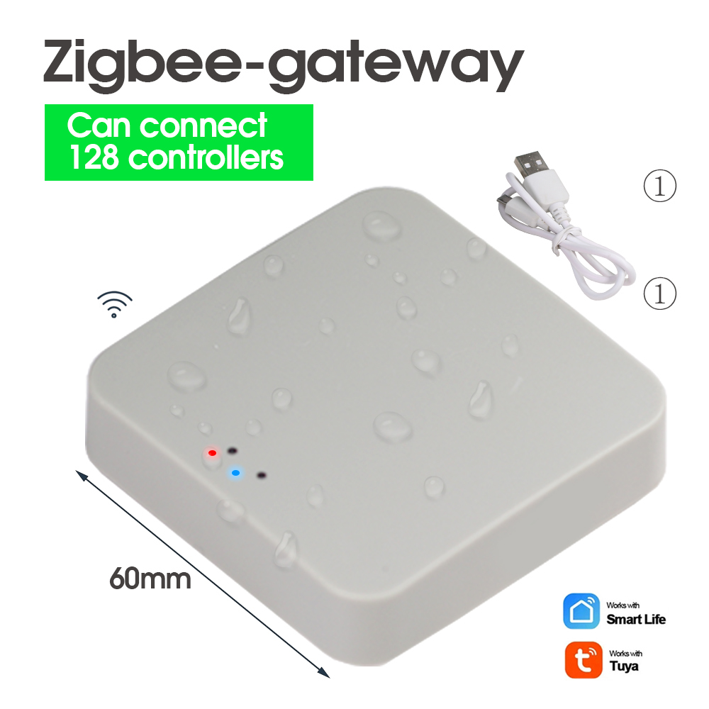 ZigBee WiFi Sprinkler Timer pe - Tuya Zigbee Garden Irrigation Controller recensione e prezzo