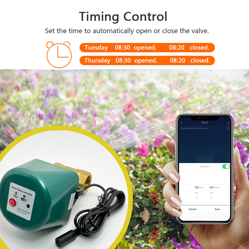 Valvola intelligente Tuya Zigb - Tuya Zigbee Garden Irrigation Controller recensione e prezzo
