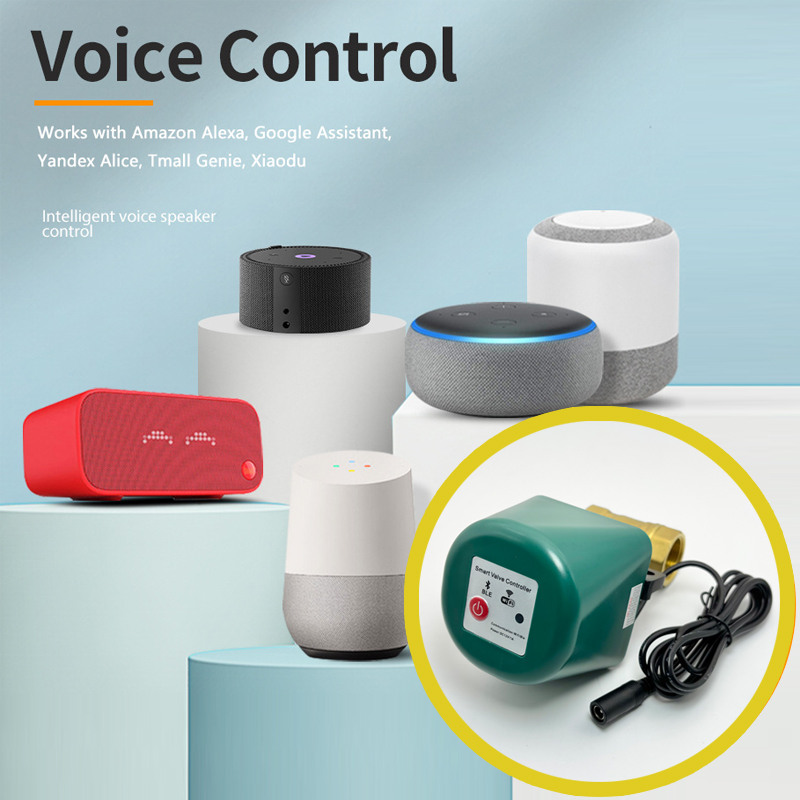 Valvola intelligente Tuya Zigb - Tuya Zigbee Garden Irrigation Controller recensione e prezzo