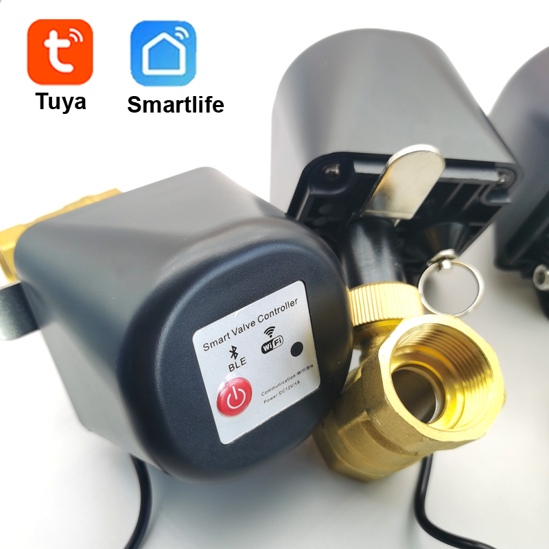 Valvola Intelligente per Acqua - Tuya Zigbee Garden Irrigation Controller recensione e prezzo