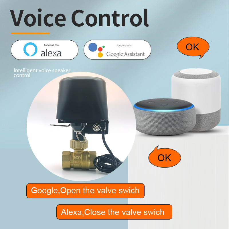 Valvola Intelligente per Acqua - Tuya Zigbee Garden Irrigation Controller recensione e prezzo