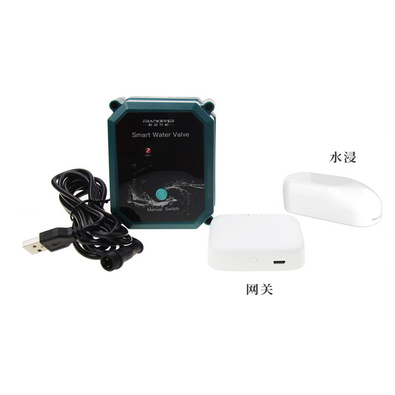 Controllore intelligente per v - Tuya Zigbee Garden Irrigation Controller recensione e prezzo